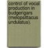Control Of Vocal Production In Budgerigars (Melopsittacus Undulatus).