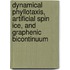 Dynamical Phyllotaxis, Artificial Spin Ice, and Graphenic Bicontinuum
