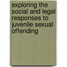Exploring the Social and Legal Responses to Juvenile Sexual Offending door Nathan C. Lowe