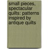 Small Pieces, Spectacular Quilts: Patterns Inspired By Antique Quilts door Mary Elizabeth Kinch