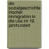 Die Sozialgeschichte Irischer Immigration In Die Usa Im 19. Jahrhundert