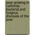 Pear Growing In California - Bacterial And Fungous Diseases Of The Pear