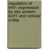 Regulation Of Tnfr1 Expression By Ebv Protein Bzlf1 And Cellular C/Ebp. door Li-Jung Tai