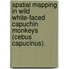 Spatial Mapping In Wild White-Faced Capuchin Monkeys (Cebus Capucinus). door Bernardo Urbani
