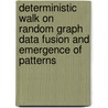 Deterministic Walk on Random Graph Data Fusion and Emergence of Patterns door Ravindra Gautam