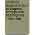 Virulence Determinants Of Pathogenic Nontypeable Haemophilus Influenzae.