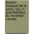 Bulletin Mensuel De La Sociï¿½Tï¿½ Polymathique Du Morbihan, Vannes