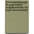 Kriminalpädagogik im Jugendalter - Aufgabenfelder der Jugendsozialarbeit