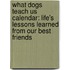 What Dogs Teach Us Calendar: Life's Lessons Learned from Our Best Friends
