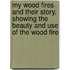 My Wood Fires and Their Story, Showing the Beauty and Use of the Wood Fire