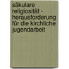 Säkulare Religiosität - Herausforderung für die kirchliche Jugendarbeit door Brigitte Krause