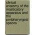Clinical Anatomy of the Masticatory Apparatus and the Peripharyngeal Spaces