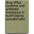 Drug Efflux Systems And Antibiotic Resistance In Burkholderia Pseudomallei.