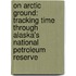 On Arctic Ground: Tracking Time Through Alaska's National Petroleum Reserve