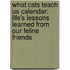 What Cats Teach Us Calendar: Life's Lessons Learned from Our Feline Friends