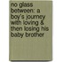 No Glass Between: A Boy's Journey with Loving & Then Losing His Baby Brother