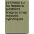 Seminaire sur les Fonctions Aleatoires Lineaires et les Mesures Cylindriques