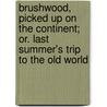 Brushwood, Picked Up on the Continent; Or. Last Summer's Trip to the Old World by Orville Horwitz