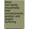 Black Non-Family Households: Their Socioeconomic Position and Spatial Buffering door Kris Marsh