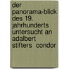 Der Panorama-Blick Des 19. Jahrhunderts Untersucht an Adalbert Stifters  Condor door Cornelia Johnen