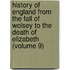 History of England from the Fall of Wolsey to the Death of Elizabeth (Volume 9)
