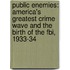Public Enemies: America's Greatest Crime Wave And The Birth Of The Fbi, 1933-34