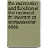 The Expression And Function Of The Neonatal Fc-Receptor At Extravascular Sites.