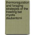 Thermoregulation and Foraging Strategies of the Trawling Bat Myotis Daubentonii