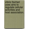 Vibrio Fischeri Uses Ains To Regulate Cellular Activities And Host Association. door Sarah Victoria Studer