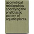 Geometrical Relationships Specifying The Phyllotactic Pattern Of Aquatic Plants.