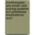 Kreditvergabe: Wie Wirken Sich Scoring-Systeme Auf Arbeitslose Kreditnehmer Aus?