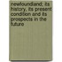 Newfoundland; Its History, Its Present Condition And Its Prospects In The Future
