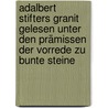 Adalbert Stifters Granit Gelesen Unter Den Prämissen Der Vorrede Zu Bunte Steine door Mario Fesler
