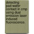 Detecting Pad-Wafer Contact In Cmp Using Dual Emission Laser Induced Fluorescence.