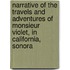 Narrative of the Travels and Adventures of Monsieur Violet, in California, Sonora