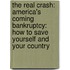 The Real Crash: America's Coming Bankruptcy: How to Save Yourself and Your Country