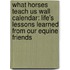 What Horses Teach Us Wall Calendar: Life's Lessons Learned from Our Equine Friends