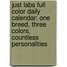 Just Labs Full Color Daily Calendar: One Breed, Three Colors, Countless Personalities door Willowcreek Press