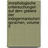 Morphologische Untersuchungen Auf Dem Gebiete Der Indogermanischen Sprachen, Volume 5