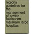 Regional Guidelines For The Management Of Severe Falciparum Malaria In Large Hospitals