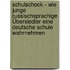 Schulschock - Wie junge russischsprachige Übersiedler eine deutsche Schule wahrnehmen