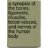 A Synopsis of the Bones, Ligaments, Muscles, Blood-Vessels, and Nerves of the Human Body