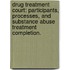 Drug Treatment Court: Participants, Processes, And Substance Abuse Treatment Completion.