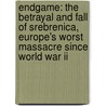 Endgame: The Betrayal And Fall Of Srebrenica, Europe's Worst Massacre Since World War Ii door David Rohde