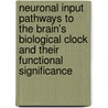 Neuronal Input Pathways to the Brain's Biological Clock and Their Functional Significance by J. Fahrenkrug
