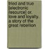 Tried and True [Electronic Resource] Or, Love and Loyalty. a Story of the Great Rebellion