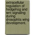 Extracellular Regulation Of Hedgehog And Wnt Signaling During Drosophila Wing Development.