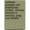 Radikaler Prediger und städtisches Umfeld - Thomas Müntzer in Zwickau, Prag und Allstedt by Frank Stüdemann