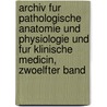 Archiv Fur Pathologische Anatomie Und Physiologie Und Fur Klinische Medicin, Zwoelfter Band door R. Virchow