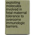 Exploiting Molecules Involved In Fetal-Maternal Tolerance To Overcome Immunologic Barriers.